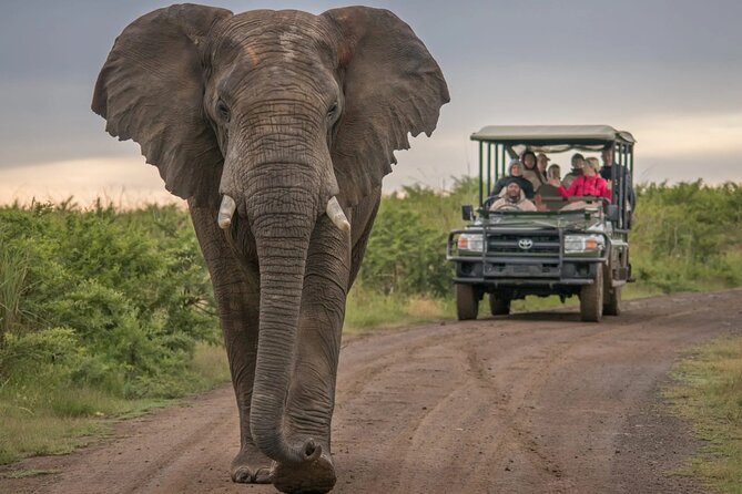 5 Day Garden Route and Addo Safari - Best of South Africa Small Group Tour - What the $575 price really covers