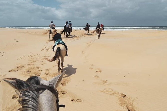 5 Day Garden Route and Addo Safari - Best of South Africa Small Group Tour - Day 2: Ostriches and the Cango Caves