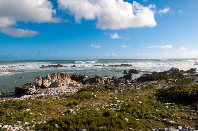 5 Day Garden Route Tour - Port Elizabeth to Cape Town - Key points at a glance