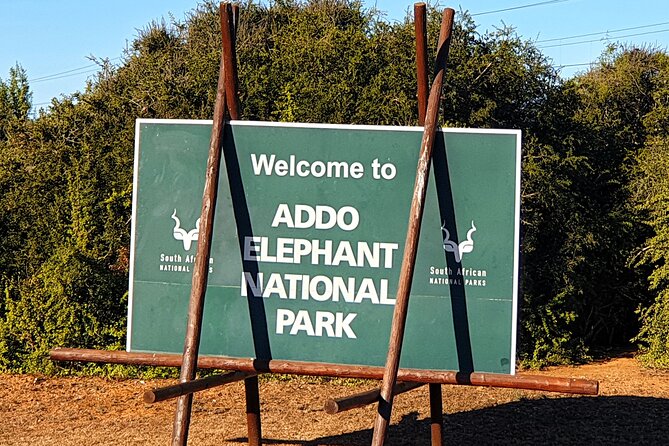 5 Day Garden Route Tour - Port Elizabeth to Cape Town - Day three: Sedgefield, mountain passes, caves, and ostriches