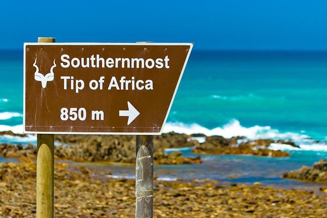 5 Day Garden Route Tour - Port Elizabeth to Cape Town - Day one: Dolphin Beach and the easy start