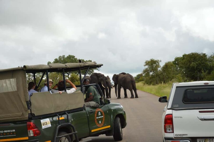 5 Day Kruger Glamping Budget Adventure - Who should book this safari?