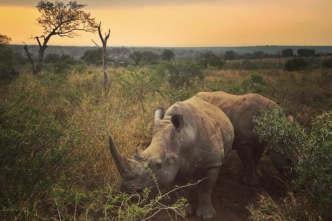 5 Day Kruger National Park and Panorama Route Safari - Key points to know before booking