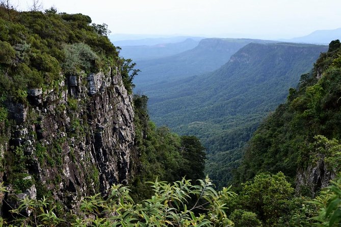 5 Day Kruger National Park and Panorama Route Safari - Guides, vehicles, and group size