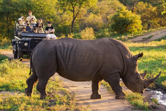5 day-Kruger National Park Safari from Kruger Int. Airport (KMI), Panorama Route - Why this five-day combination works