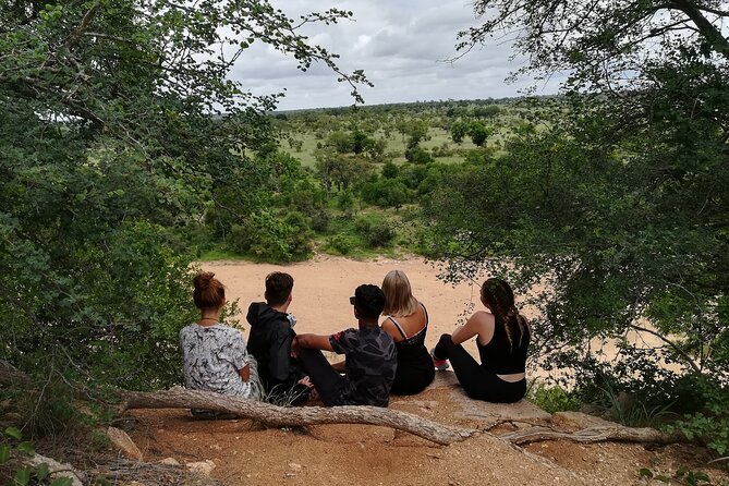 5 Day Kruger National Park tour - Day two: a full day through Kruger’s Orpen gate