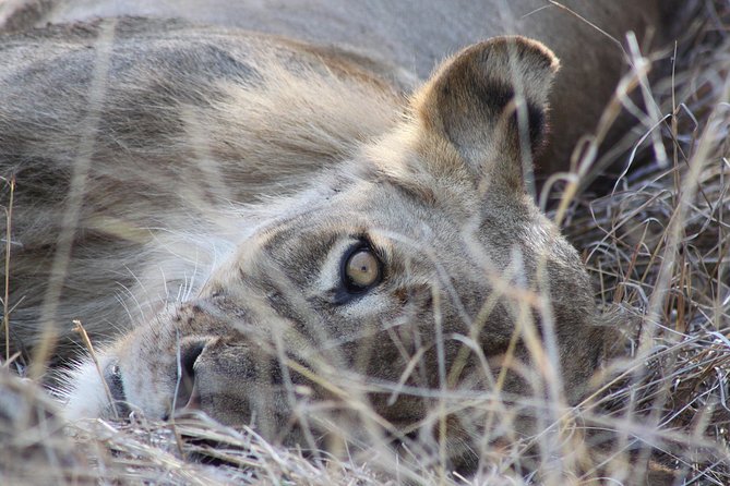 5 Day Kruger National Park tour - What the $1,083.06 price really covers