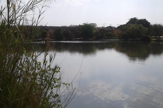 5 Day Kruger National Park tour - Who should book this five-day plan?