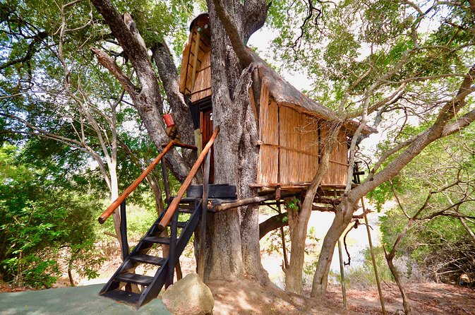 5 Day Lodge and Treehouse Kruger National Park Safari - Days three and four: open plains and full days in Kruger