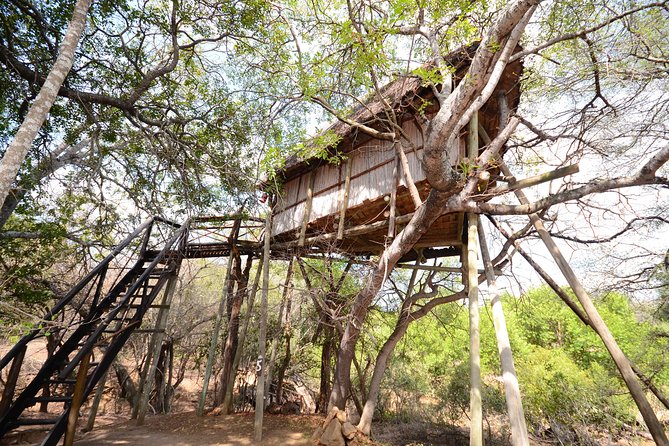5 Day Lodge and Treehouse Kruger National Park Safari - What the accommodation and meals really add