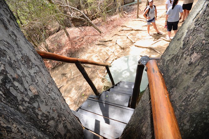 5 Day Lodge and Treehouse Kruger National Park Safari - Is the $1,032.84 price good value?
