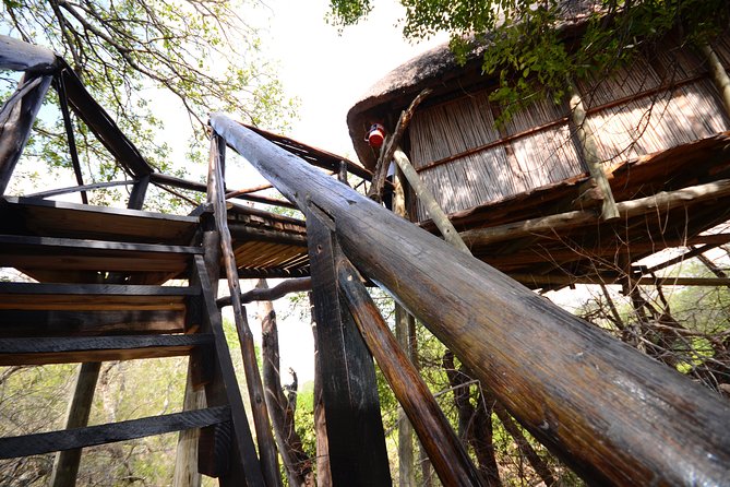 5 Day Lodge and Treehouse Kruger National Park Safari - Timing, transport, and the small details that matter