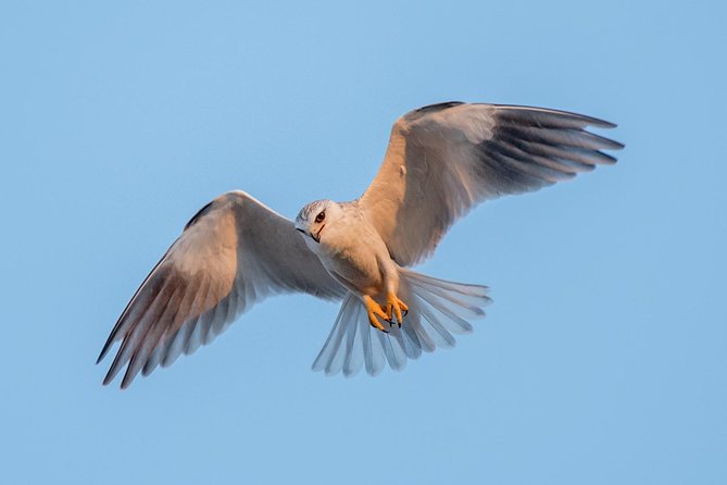 5 Day Wildlife Photographic Safari - Kruger National Park - B1 Photo Safaris - What the $2,819.95 price really covers