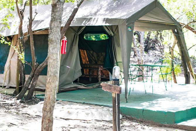 6 Day Budget Kruger National Park Safari - Day 1: From Johannesburg to a bush barbecue