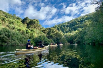 6-Day Garden Route & Addo South African Adventure from Cape Town