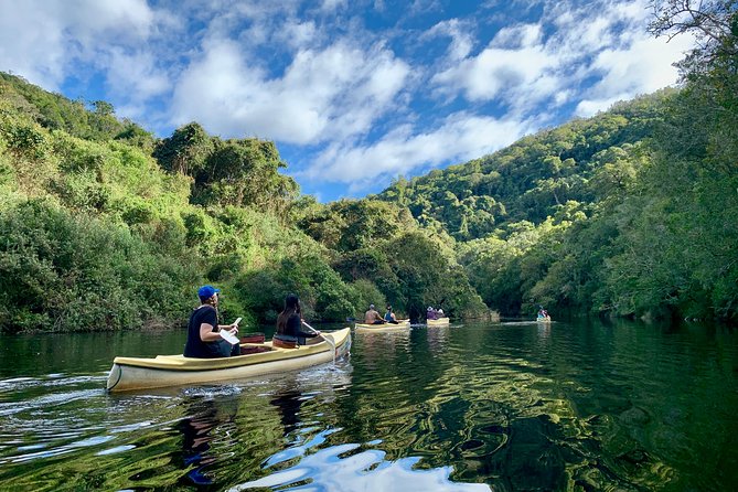 6-Day Garden Route & Addo South African Adventure from Cape Town - Day one: penguins, whales, and the meeting of two oceans