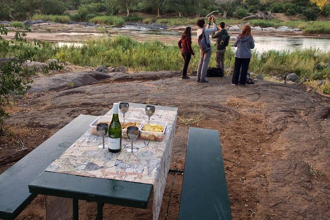 6 Day Lodge and Treehouse Kruger National Park Safari - Day three: a full day of game viewing in Kruger