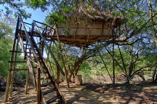 6 Day Lodge and Treehouse Kruger National Park Safari - Day four: rehabilitation work and an afternoon drive