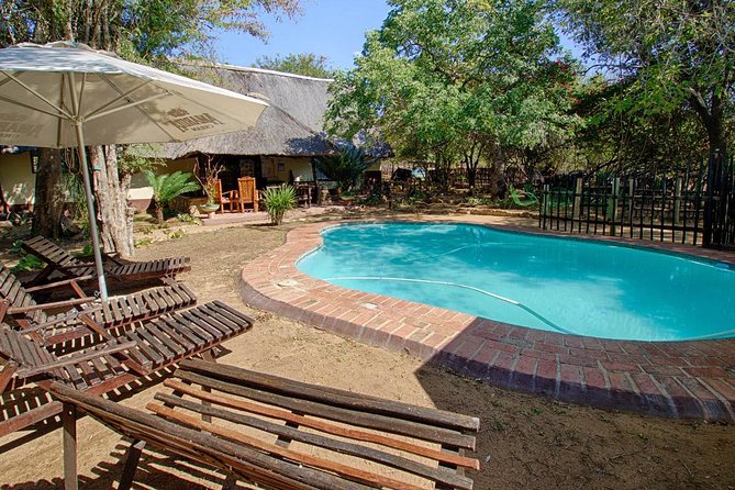 6 Day Lodge and Treehouse Kruger National Park Safari - Accommodation, meals, and daily comfort