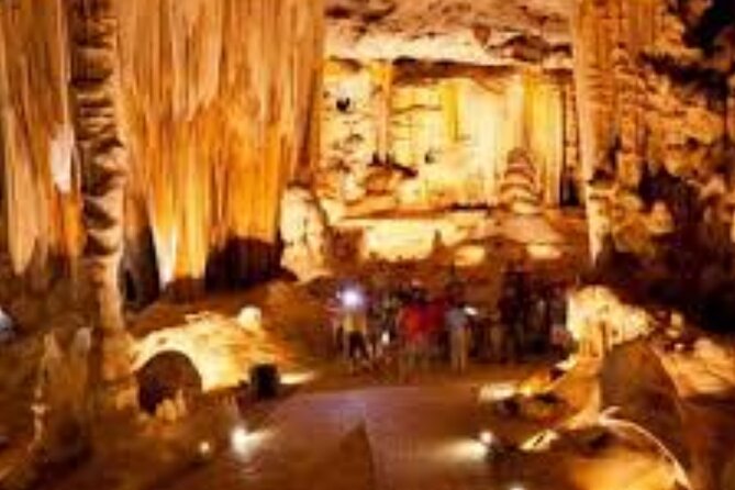 7- 10 Days Tour Package Cape Town and Garden Route - What this seven-day route is really like