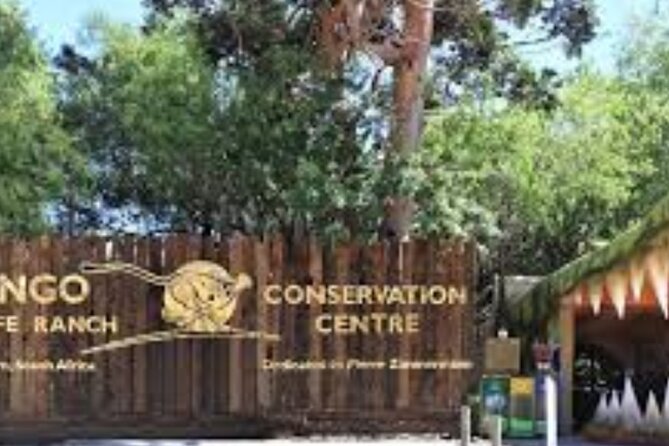 7- 10 Days Tour Package Cape Town and Garden Route - Day 3: Lion park, chocolate, wine, and Franschhoek
