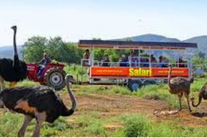 7- 10 Days Tour Package Cape Town and Garden Route - Day 6: Tsitsikamma and the Garden Route’s bigger thrills