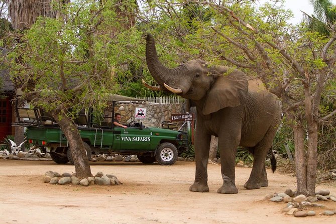 7 Day Classic Kruger National Park Safari - Day 5: River drinks, a sunset drive, and another bush barbecue
