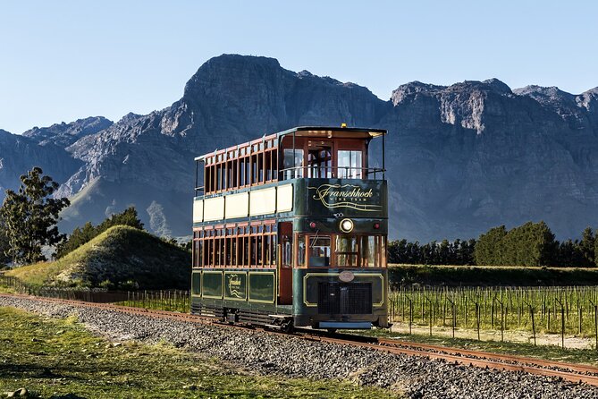 7 Day Garden Route to Addo, Cape Point and Winelands Combo tour - Day 3: Elephants at Addo and free time in Jeffreys Bay