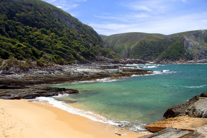 7 Day Garden Route to Addo, Cape Point and Winelands Combo tour - Day 4: Tsitsikamma, Bloukrans, and Knysna Heads