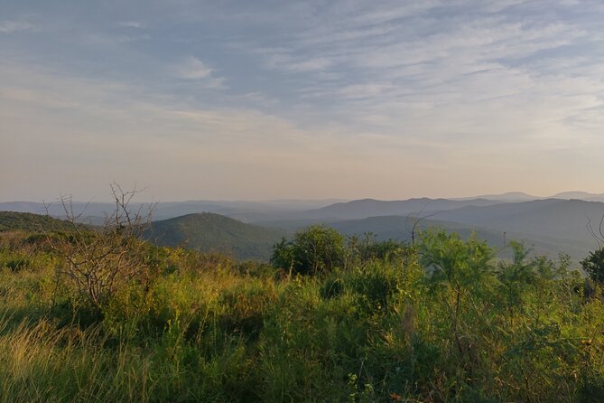 A Full Day Safari Tour to the Hluhluwe Imfolozi Big 5 Game Reserve - Key details to know before booking