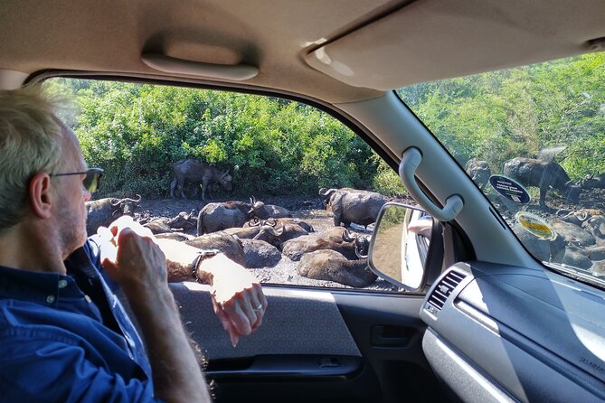 A Full Day Safari Tour to the Hluhluwe Imfolozi Big 5 Game Reserve - What the guide adds to the day
