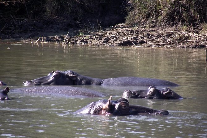 A Full Day Safari Tour to the Hluhluwe Imfolozi Big 5 Game Reserve - The 6:00 am pickup from Durban