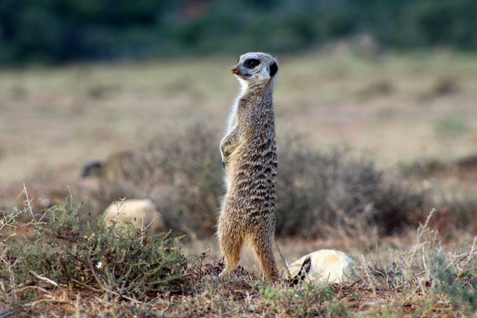 Addo Elephant National Park All Inclusive Full-Day Safari - Guides John, Sidwell, Wanele, and the wider team