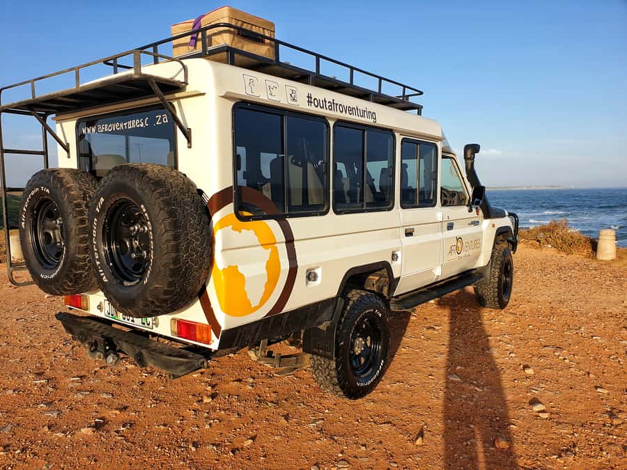 Addo Elephant National Park All Inclusive Full-Day Safari - What kind of visitor will enjoy this safari?