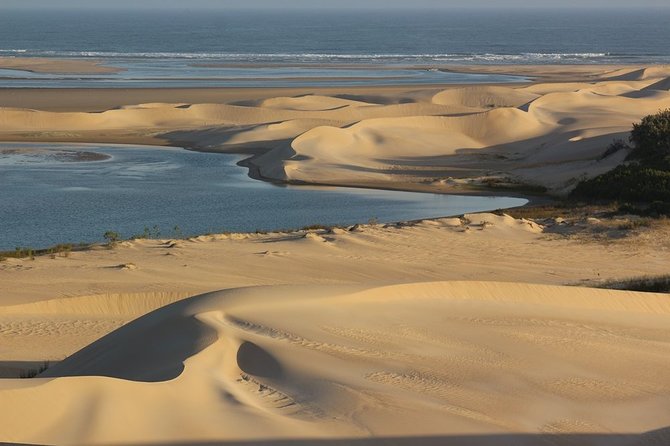 Addo Elephant National Park and Sunset River Cruise - FD04 - Is $169.54 a fair price?