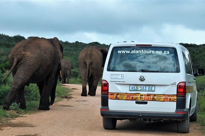 Addo Elephant National Park from Port Elizabeth - FD01 - Food, drinks, and the important lunch question