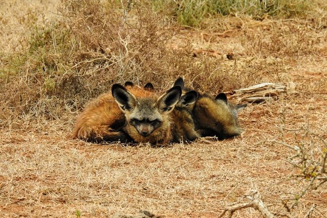 Addo Elephant National Park Full Day Safari - The 7:30 a.m. start and getting to the gate