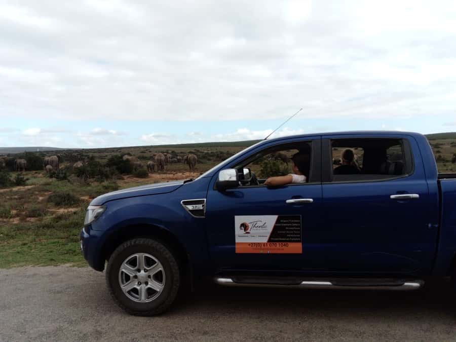 Addo Elephant National Park Game Drive Day Tour With Lunch - What makes this Addo safari worth considering