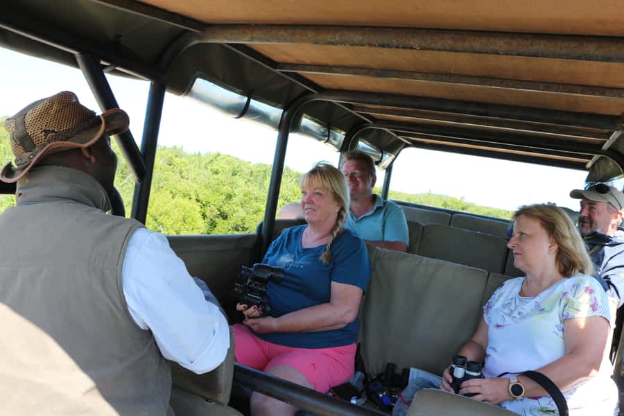 Addo Elephant National Park Game Drive Day Tour With Lunch - How the small group changes the experience