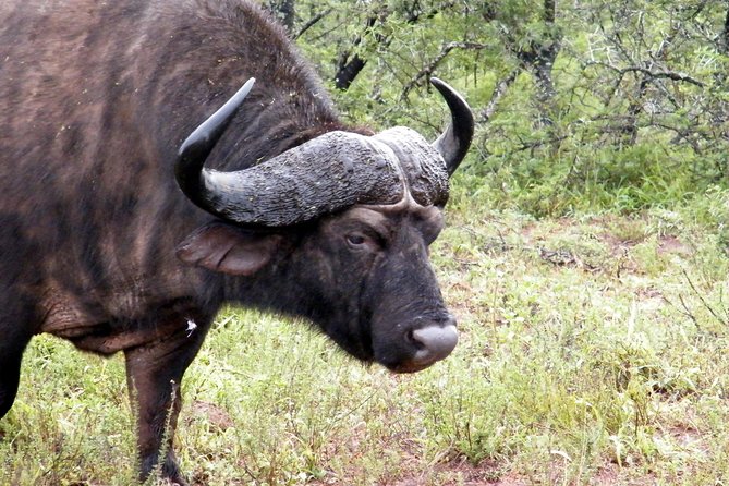 Addo Elephant National Park Tours from Port Elizabeth - Reaching Addo from Port Elizabeth