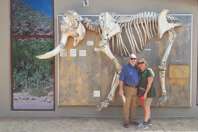 Addo Elephant National Park Tours from Port Elizabeth - Who should book this Addo experience?