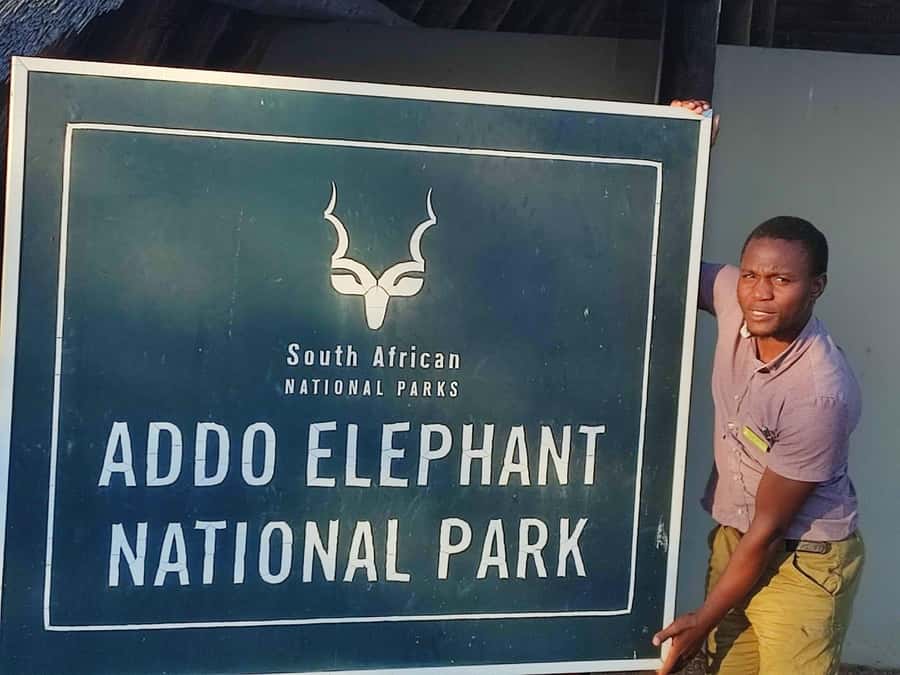 Addo Elephant Park Tours. Full Day - What the eight-hour safari day feels like