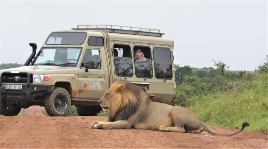 Addo National Park: Guided Half-Day Safari - Elephants, lions, and the animals you may see
