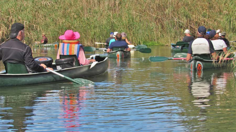 Addo River Safari - Guided Tour via Canoe - Wildlife beyond the birds
