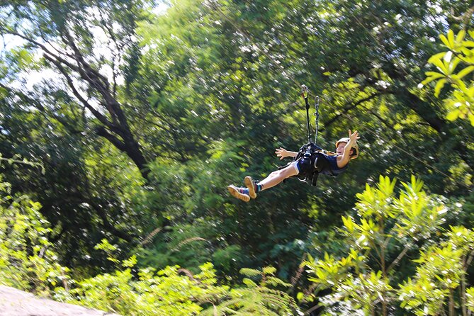 Aerial Cable Trail in Hazyview - Ten platforms and changing views over the forest