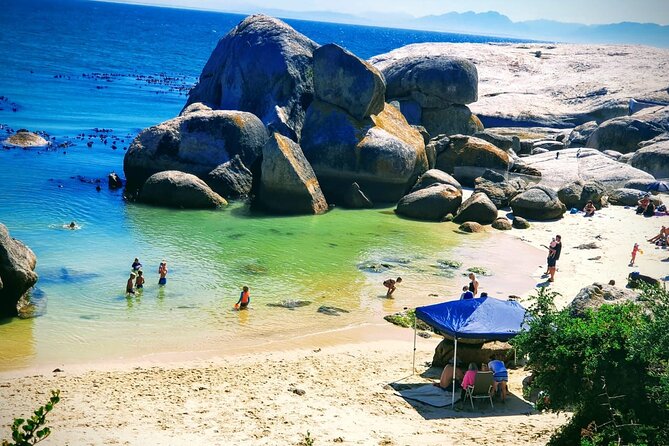 African Penguins (Boulders Beach) Half Day tour from Cape Town - What the guides add to the outing
