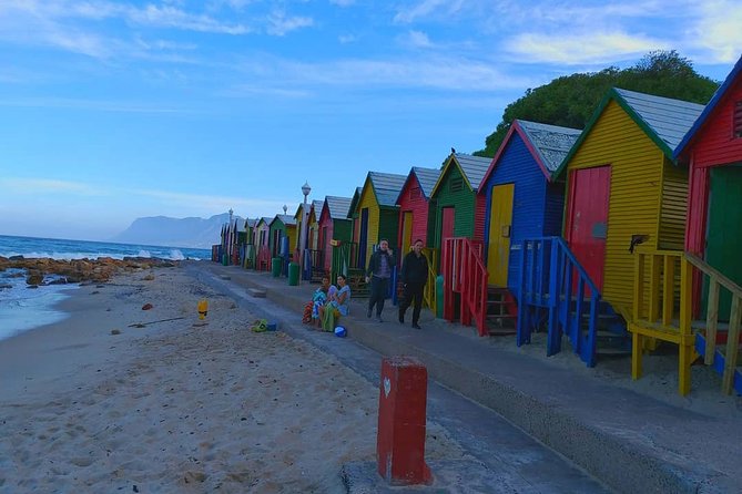 African Penguins (Boulders Beach) Half Day tour from Cape Town - From Cape Town to the Cape Peninsula