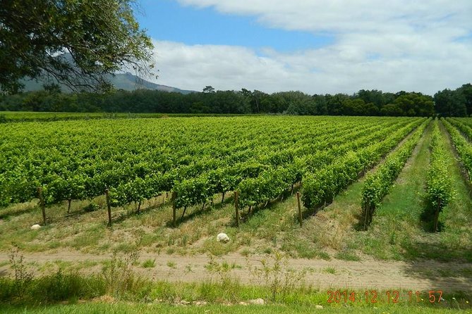 African Story Wine Tours in the Cape Winelands - Lunch at Le Pommier, when scheduled