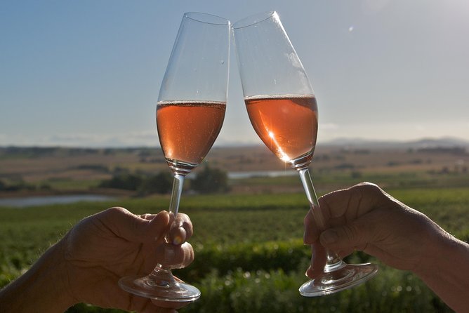 African Story Wine Tours in the Cape Winelands - Should you book this Cape Winelands day trip?