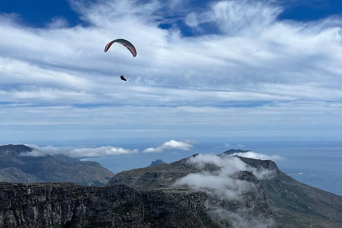 African Wonder of Nature Table Mountain Hike. - Fynbos, cliffs, and small mountain animals